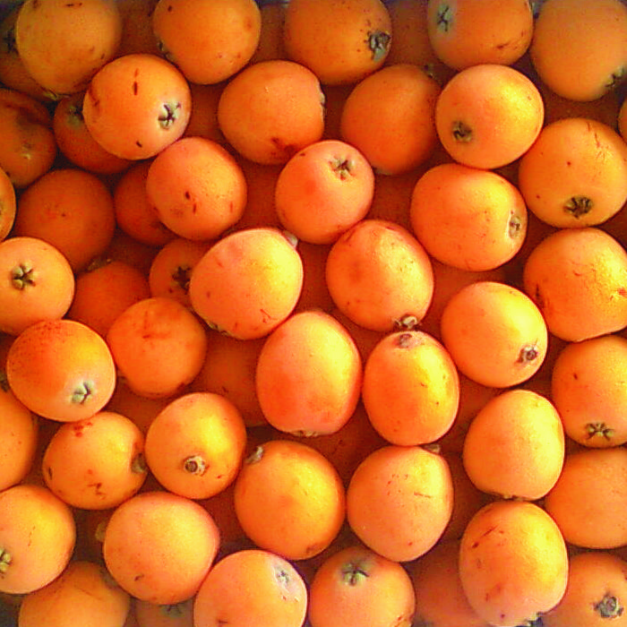 Nespre -C.Valenciana-